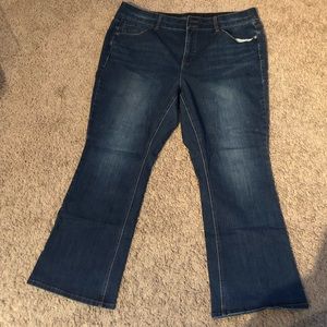 Lane Bryant Bootcut jeans